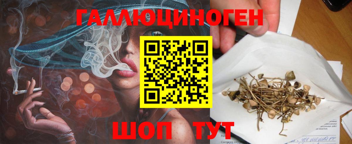 Галлюциногенные грибы Cubensis Ковров