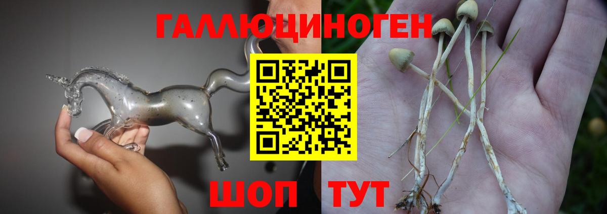 Ковров  Псилоцибиновые грибы Cubensis  Псилоцибиновые грибы Magic Shrooms  Вход с VPN 
